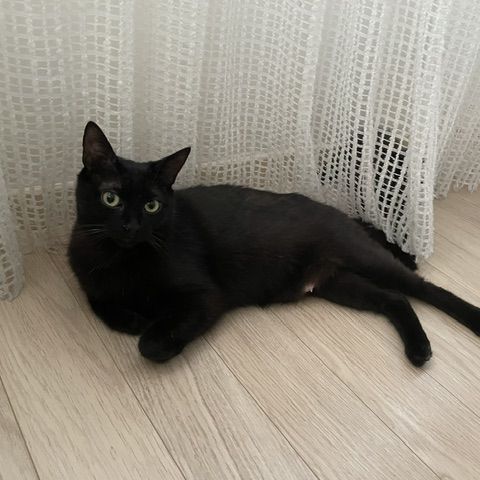 Bella-maman hyper câline #4