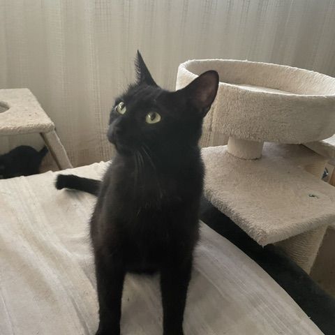Bella-maman hyper câline #5