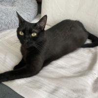 Bella-maman hyper câline #3