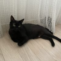 Bella-maman hyper câline #4