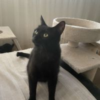 Bella-maman hyper câline #5