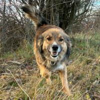 Joy à l'adoption #2