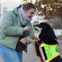 Ayron, 2 ans, à l'adoption #2