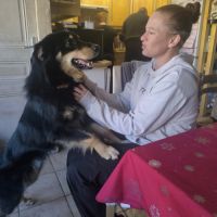Ayron, 2 ans, à l'adoption #4