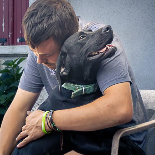 Tobby, 1 ans, à l'adoption