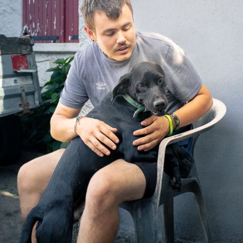 Tobby, 1 ans, à l'adoption #5