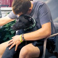 Tobby, 1 ans, à l'adoption #3