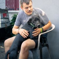 Tobby, 1 ans, à l'adoption #5