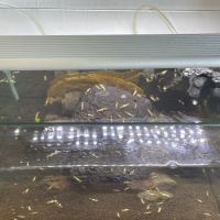 Aquarium complet #2