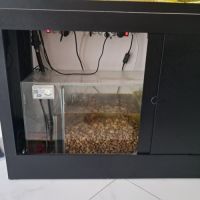 Aquarium complet avec poisson #1