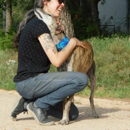 Kenia, galga très câline et proche de l'humain #4
