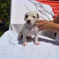 Youna, bébé câlin #1