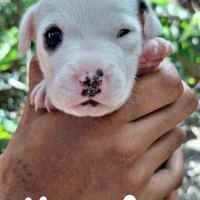 Youna, bébé câlin