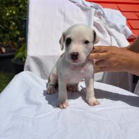 Youna, bébé câlin #5
