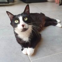 Elona à l'adoption #2