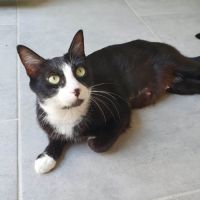 Elona à l'adoption #3