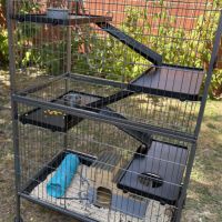 Donne 2 adorables rats males avec cage etc #1