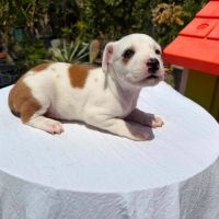 Youna, bébé câline #6