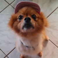 Monsieur tilou !