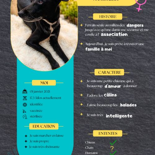 Cachou, la boule de tendresse #3