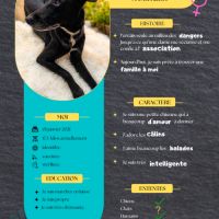 Cachou, la boule de tendresse #3
