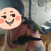 Conure emma #3