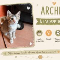 Archia