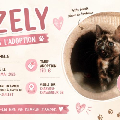 Zely #3