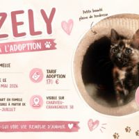 Zely #3