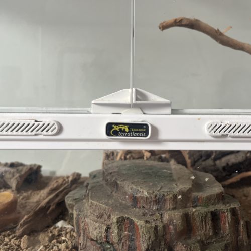 Terrarium 118x45x60 terratlantis, 2 geckos léopard #2