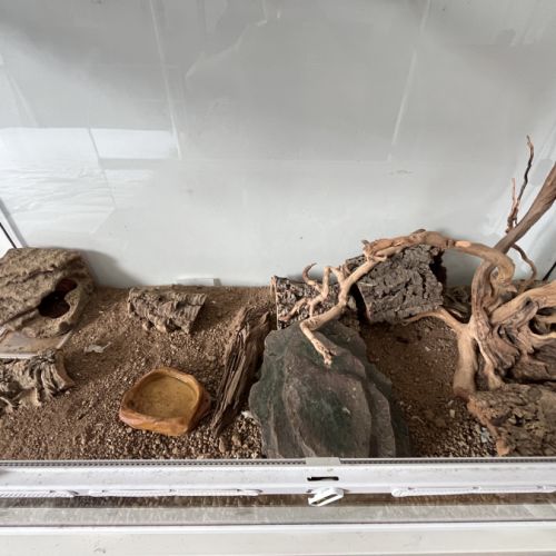 Terrarium 118x45x60 terratlantis, 2 geckos léopard #3