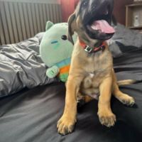 Aldo, bébé rigolo #4