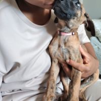 Rosa, 2 mois et demi, cherche un bon foyer #4