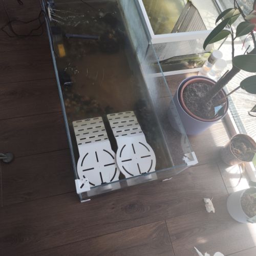 Donne deux tortues d'eau et tout le matériel