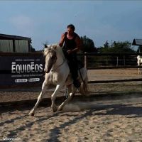 Cheval western randonnée #1