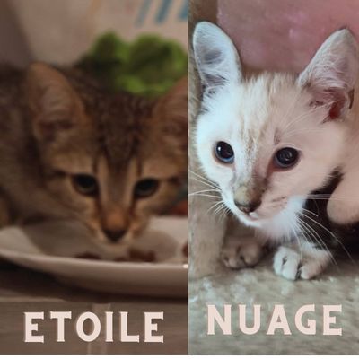 Etoile et nuage