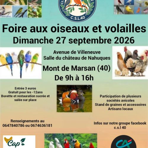 Foire aux oiseaux et volailles
