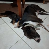 Sam le petit curieux #3
