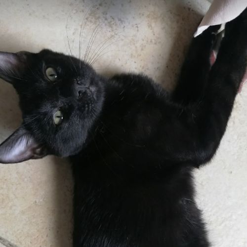 Gaspard plein de tendresse et de malice