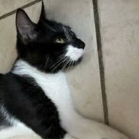Pomme attend sa famille pour la vie #2