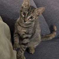 Barbalala cherche sa famille pour la vie #2