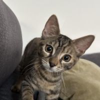 Barbalala cherche sa famille pour la vie