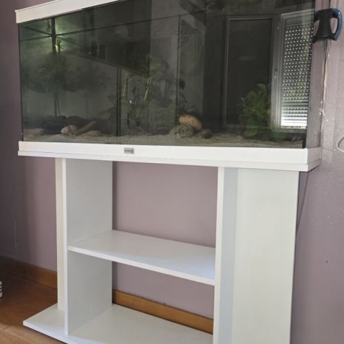 2 axolotls leucistiques+ aquarium équipé 120 l #7