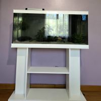 2 axolotls leucistiques+ aquarium équipé 120 l #8