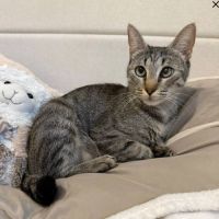 Zelye cherche sa famille pour la vie