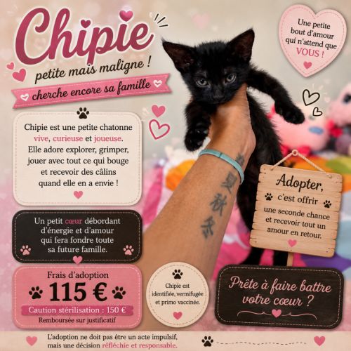 Chipie l'aventurière #0
