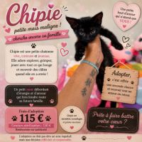 Chipie l'aventurière