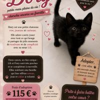 Dory un petit coeur à la recherche de sa famille #0