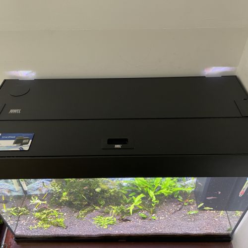 Aquarium complet avec poisson #0