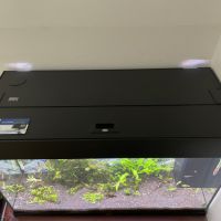 Aquarium complet avec poisson